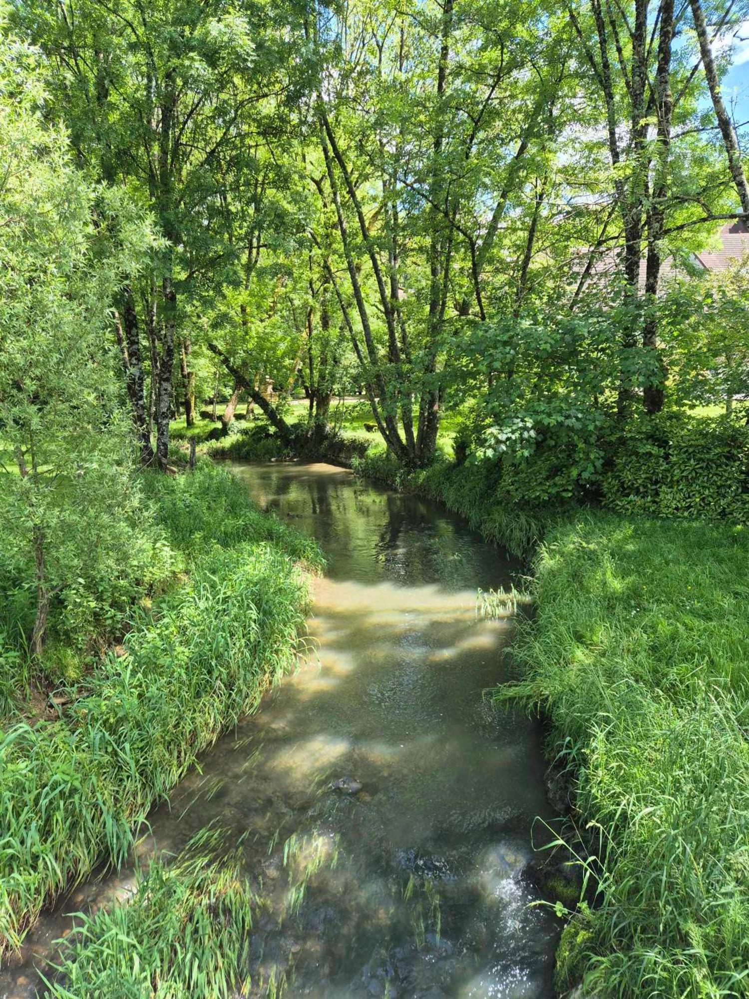 Saint-Germain-lès-Arlay Au Lavoir Du Serein "L'Eventail" מראה חיצוני תמונה