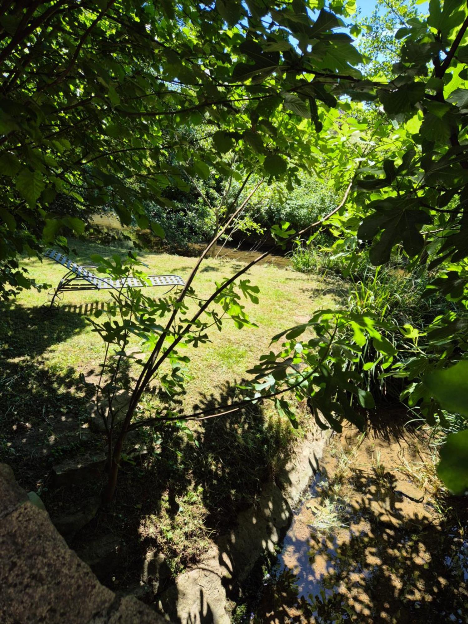 Saint-Germain-lès-Arlay Au Lavoir Du Serein "L'Eventail" מראה חיצוני תמונה